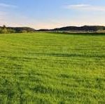 Invest in Quality Living with a Builder Floor for Sale in Meghalaya