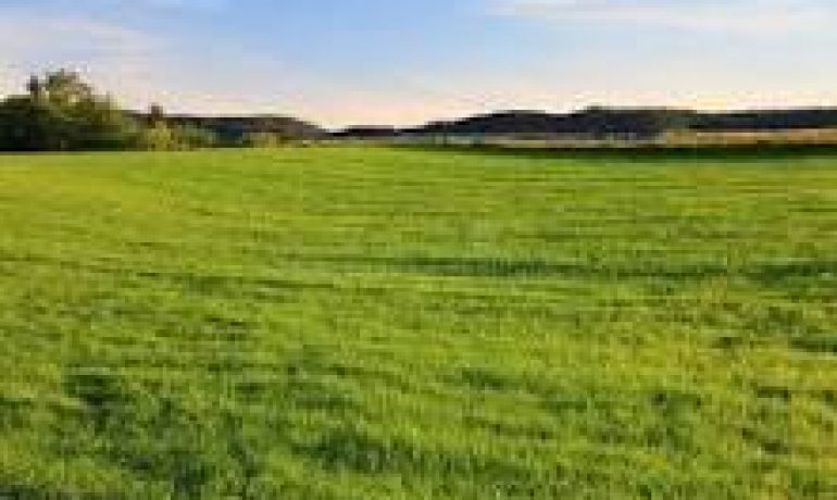 Invest in Quality Living with a Builder Floor for Sale in Meghalaya