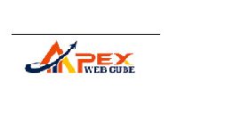 Apex Web Cube